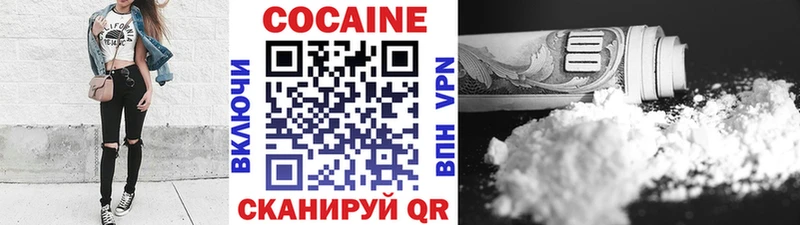 MEGA tor  где купить наркоту  Ишим  Cocaine Fish Scale 