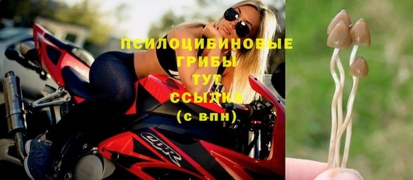 прущие крисы Верхний Тагил