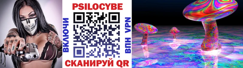 Псилоцибиновые грибы Psilocybine cubensis  Ишим 